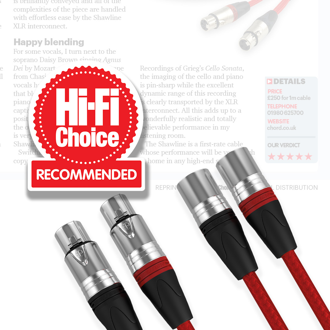 ShawlineX ARAY Analogue XLR - Image 3